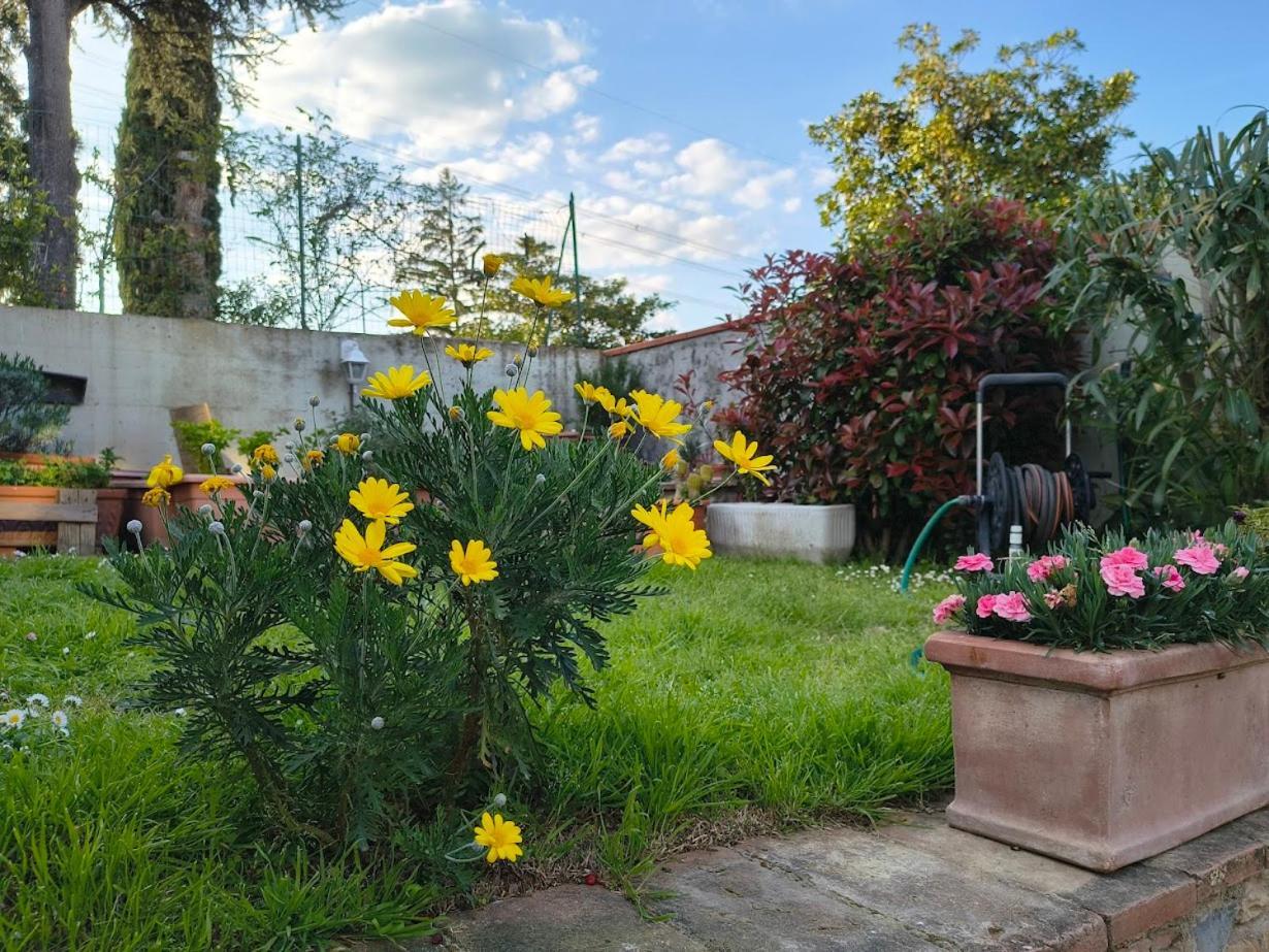 La Giravolta Loft Urban & Gea Daire Montelupo Fiorentino Dış mekan fotoğraf